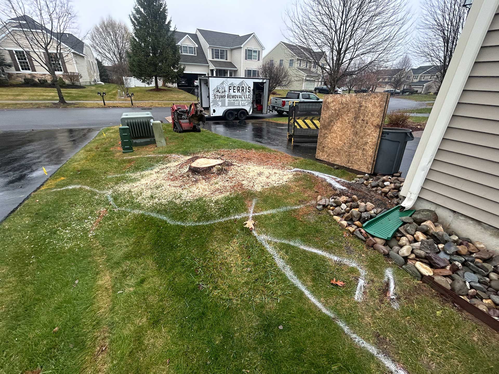 stump grinding services 3 before