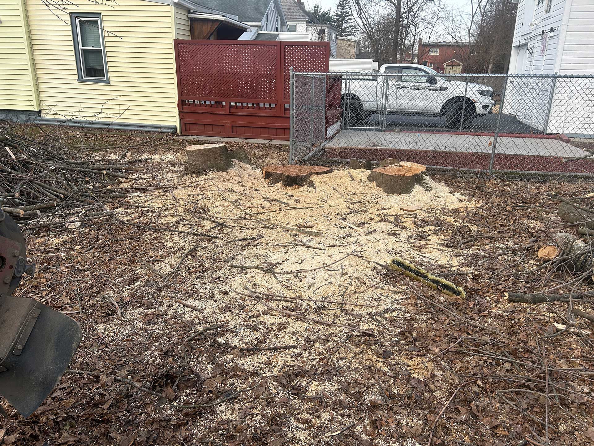 stump grinding services 4 before