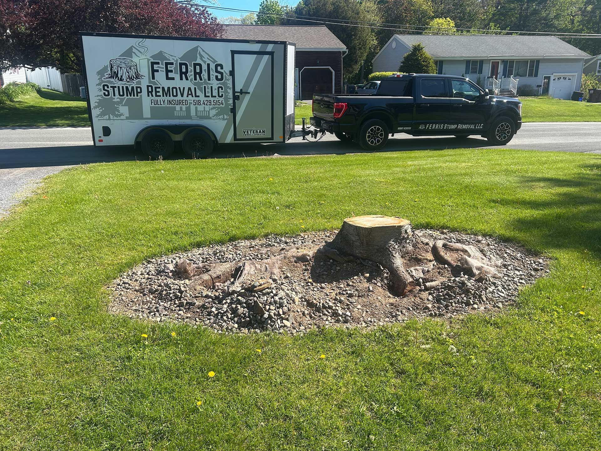 stump grinding services 7 before
