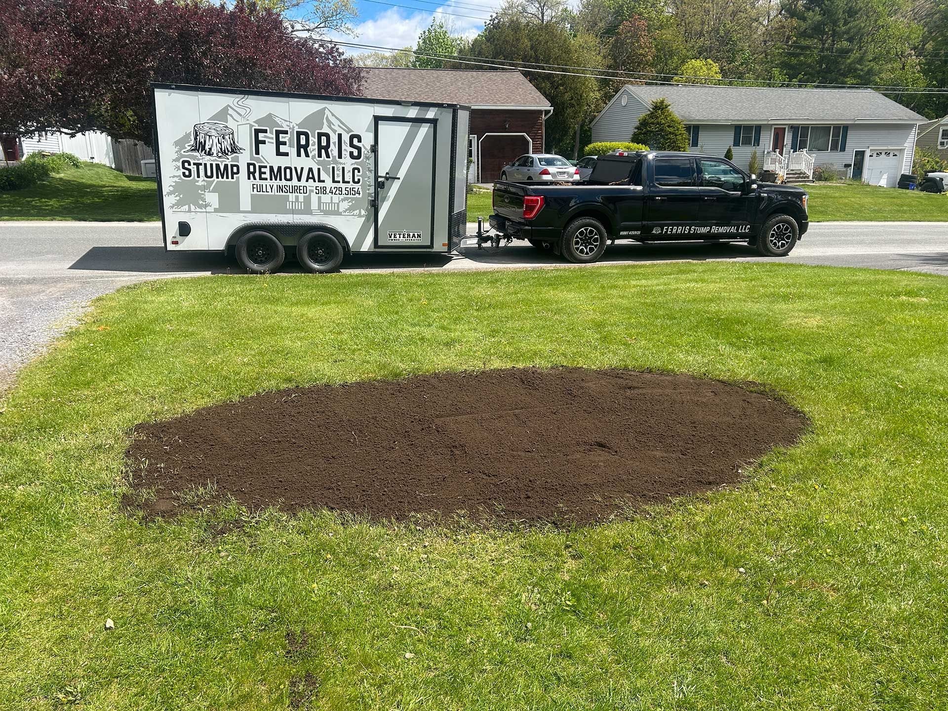 stump grinding services 7 after