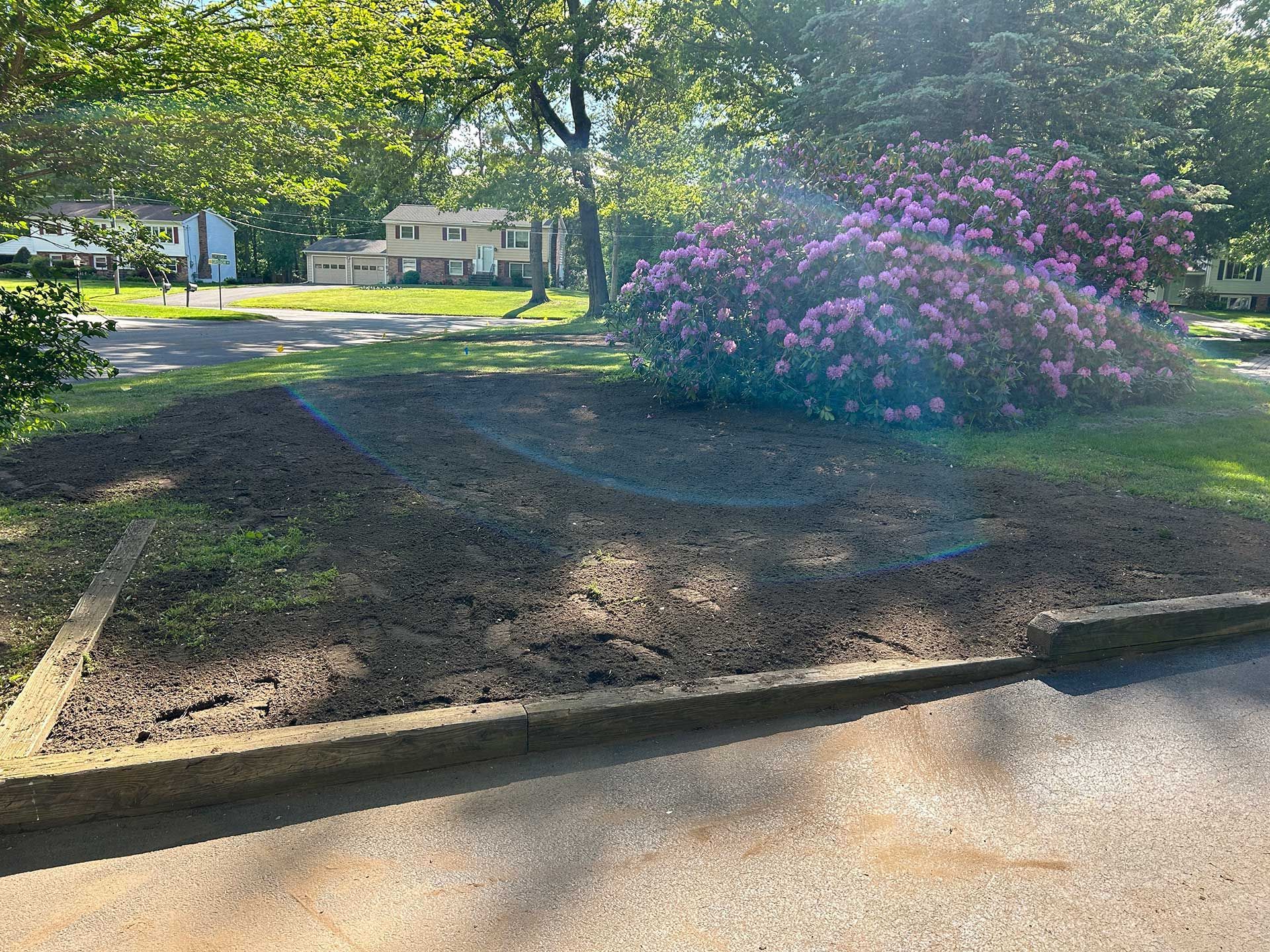 stump grinding services 8 after