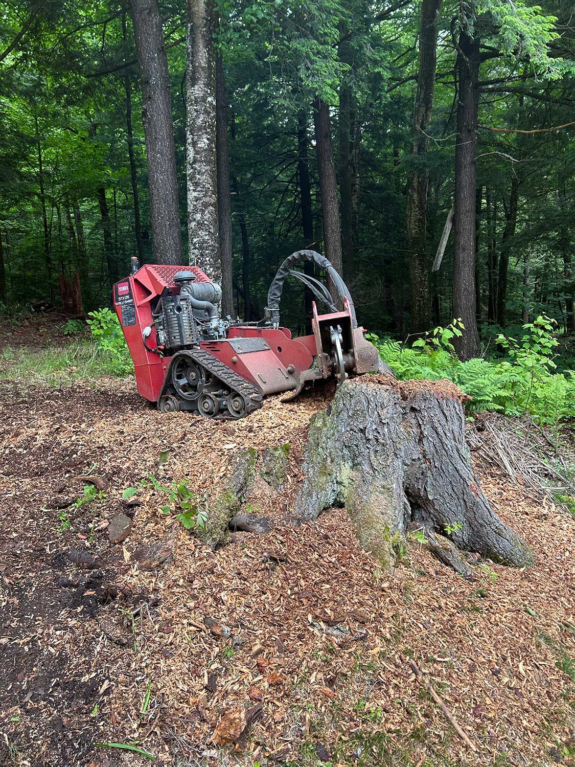 stump grinding services 12 during