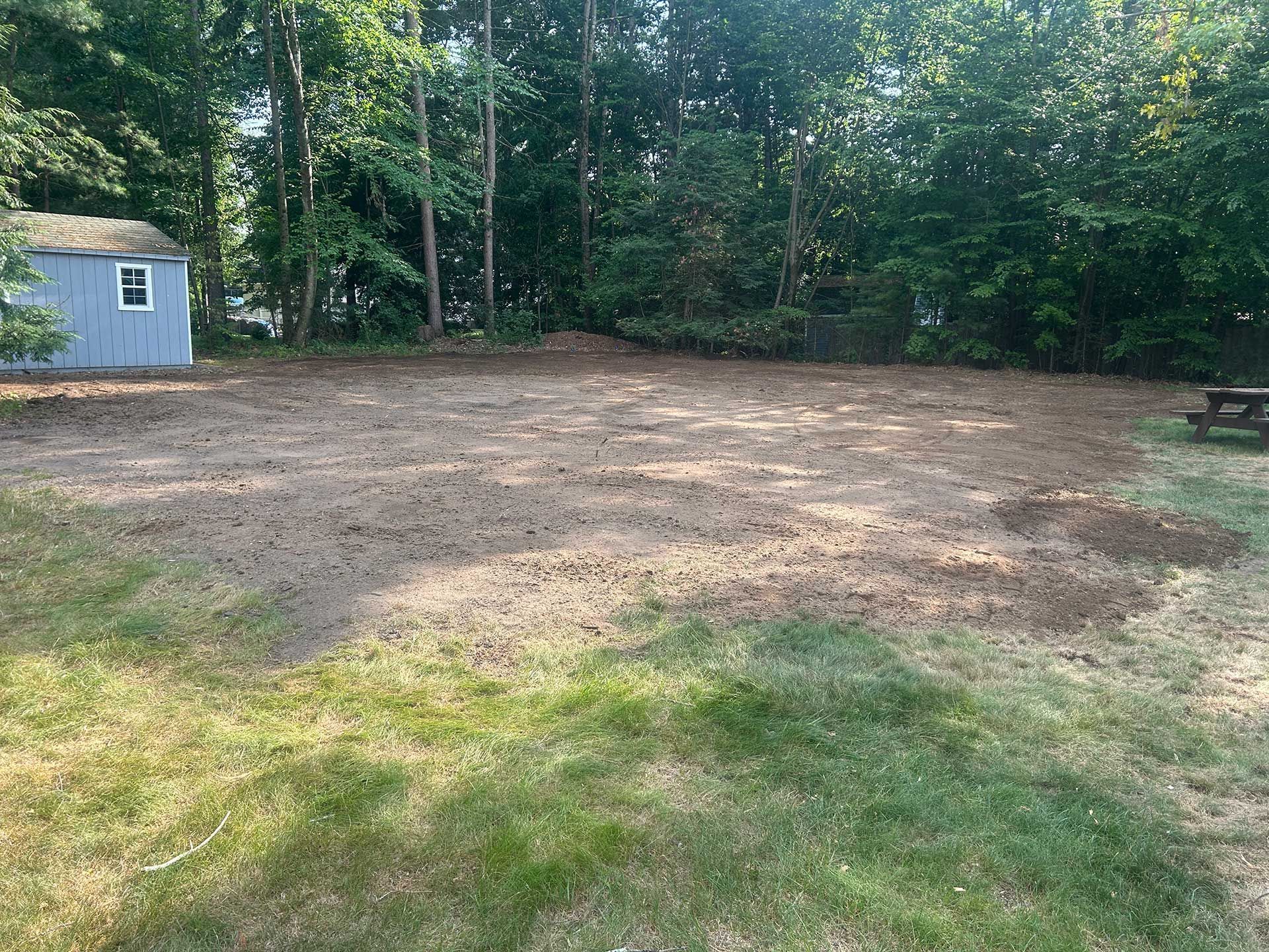 stump grinding services 11 after