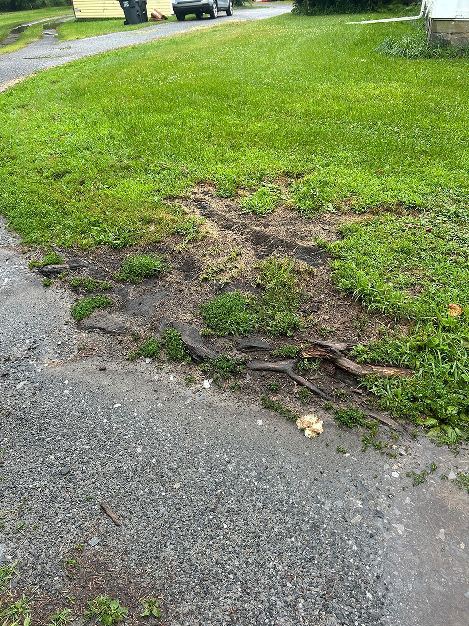 Ferris Stump Removal 4