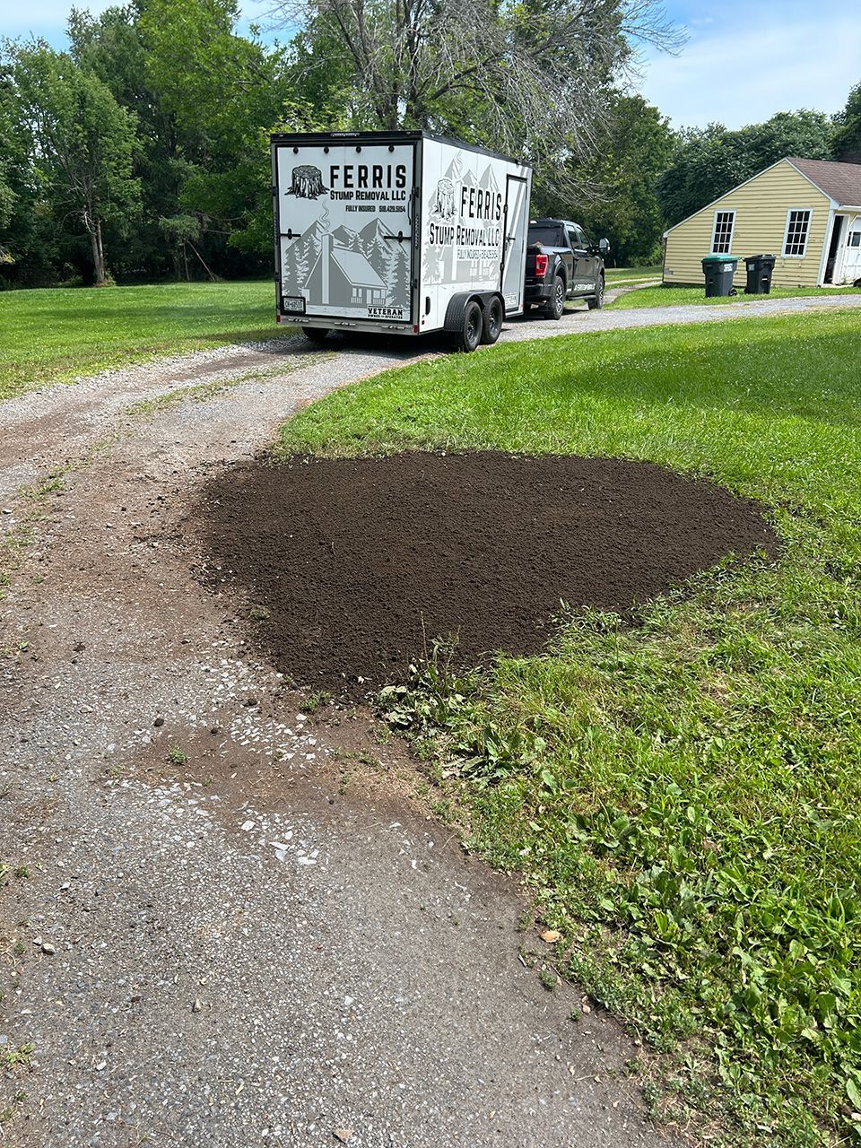 Ferris Stump Removal 5