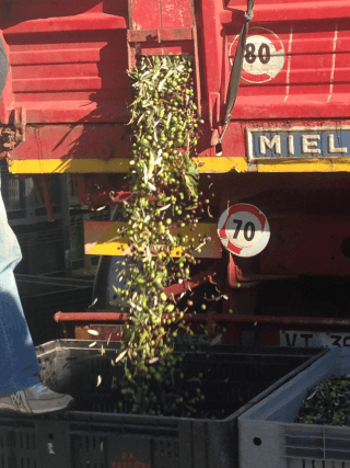 Un camion rosso con la parola 