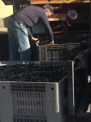 Un uomo è in piedi davanti a un camion con un limite di velocità di 70
