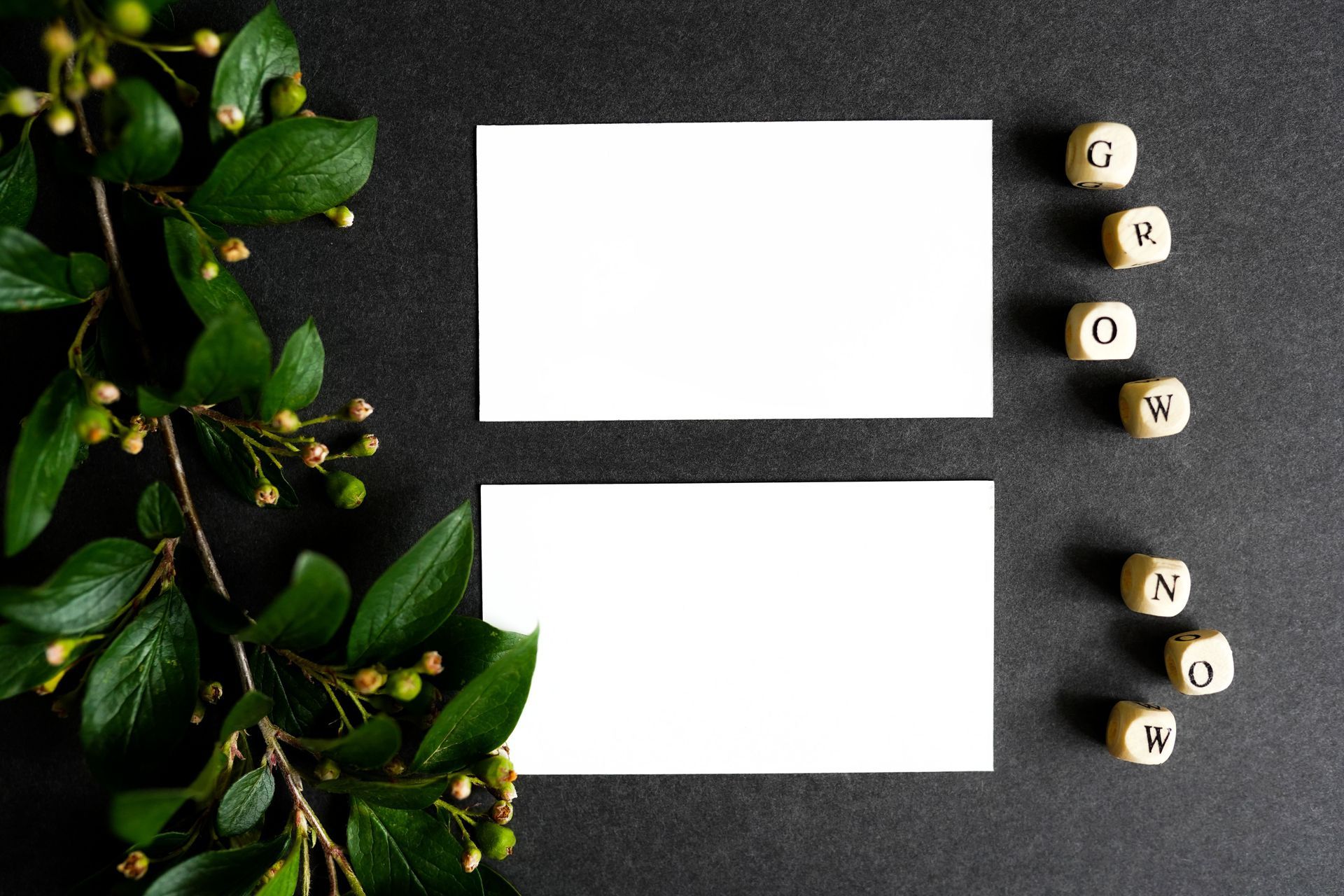 White cards on dark table with green leaves and wooden letter cubes spelling “BOOK” and “NEW”