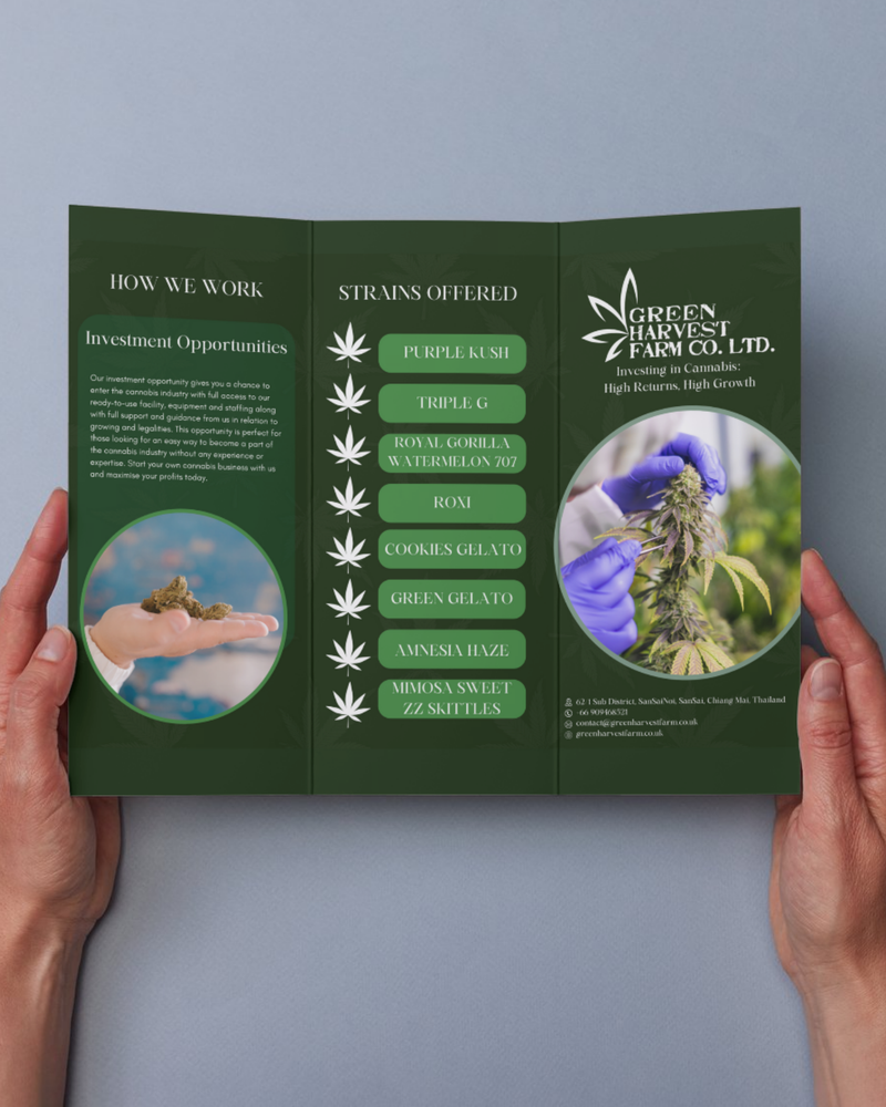 Green Harvest Farm Co. tri-fold brochure held open in two hands