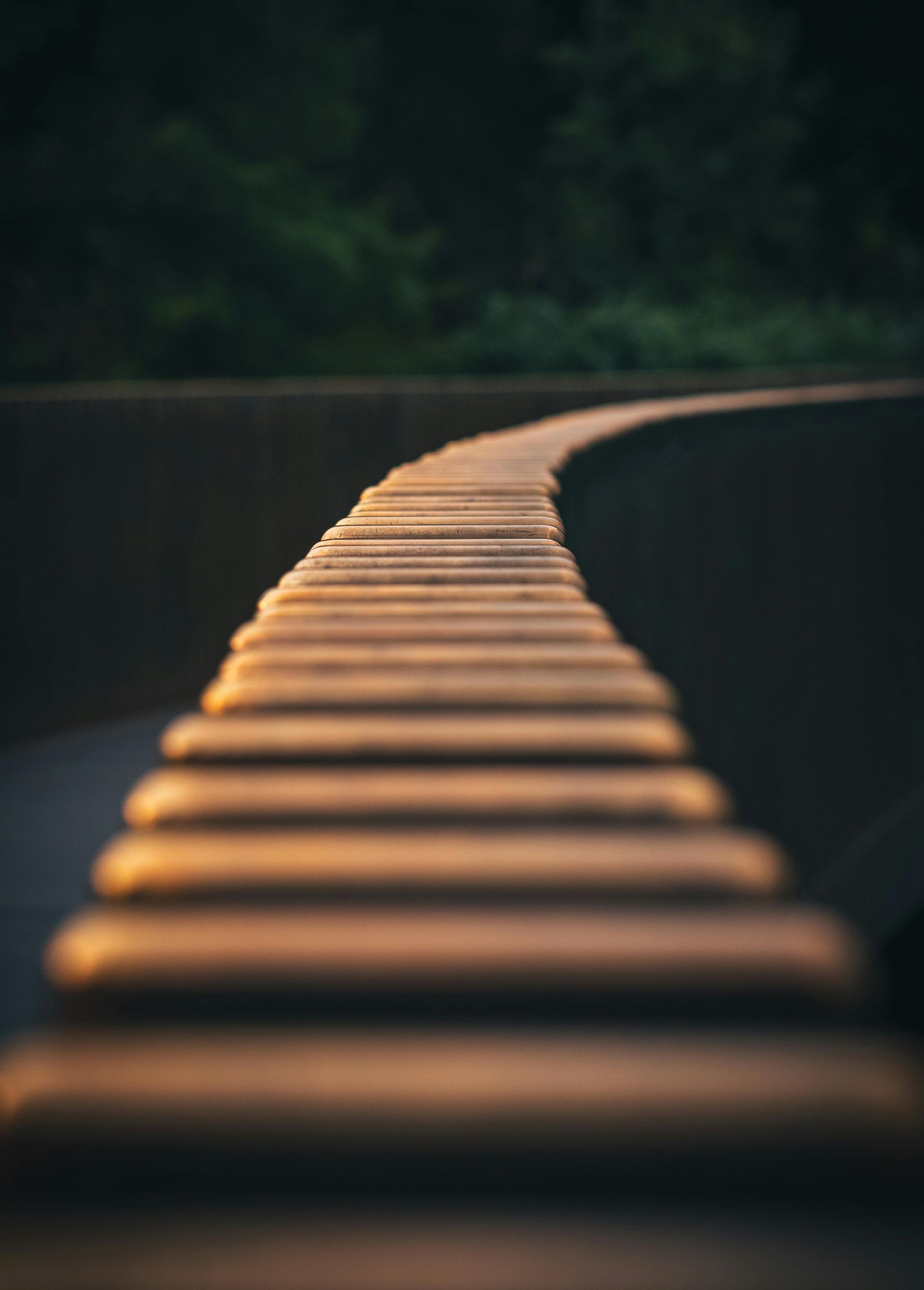 Outdoor lighting path lights illuminate a walkway with modern and rustic fixture designs