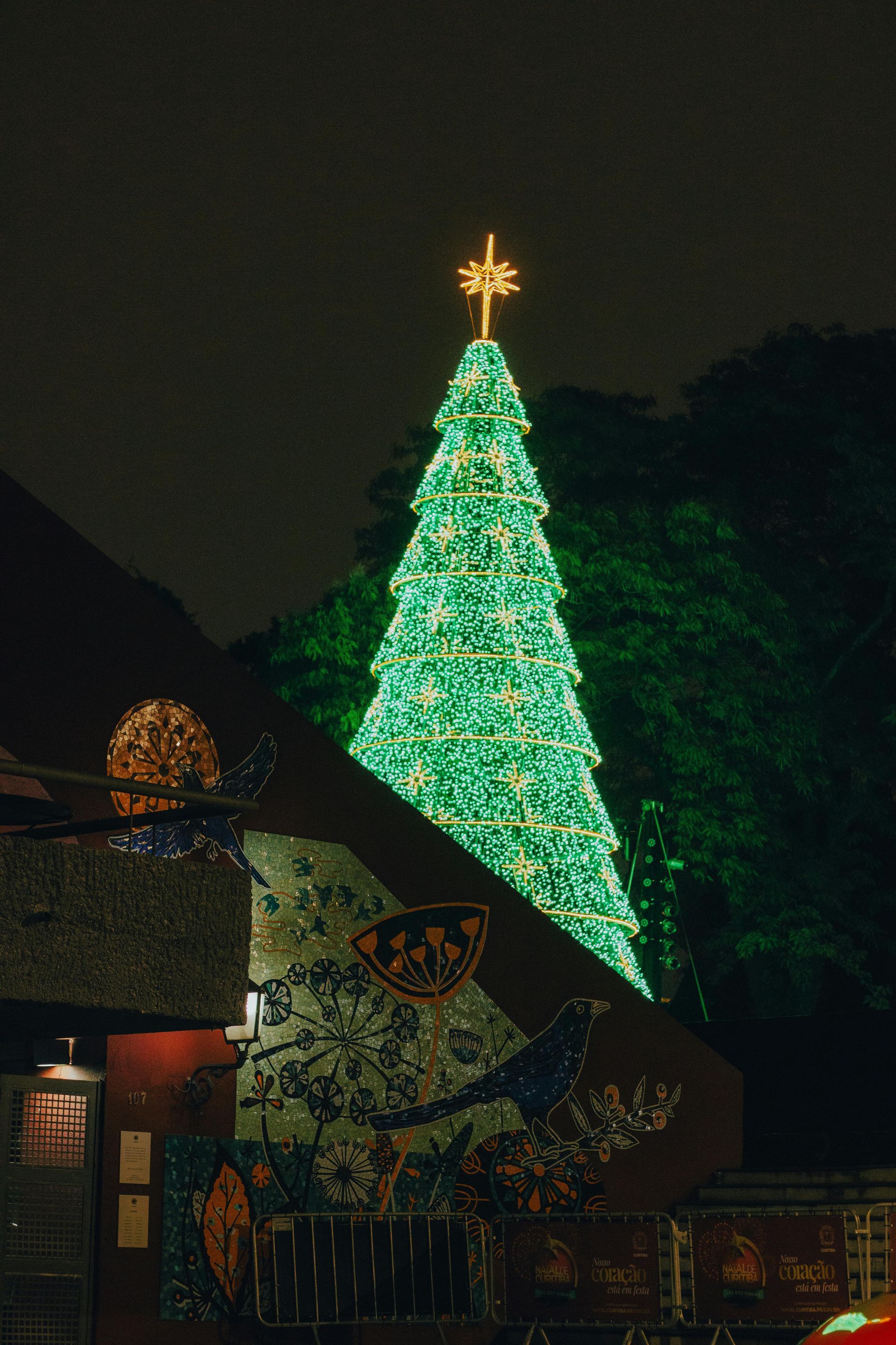 Professional Christmas tree lighting installation with LED lights in Southern California