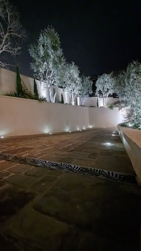 A driveway with trees and a wall lit up at night.