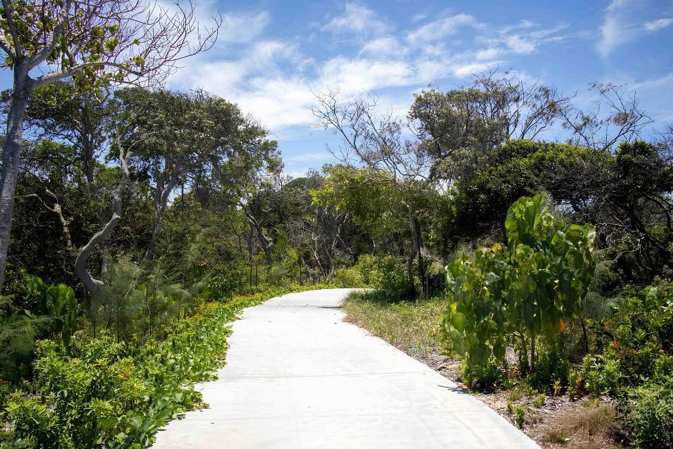 A Concrete Path Going Through a Lush Green Forest — I.B.S Skip Bins in Warana, QLD