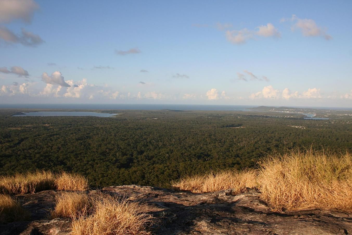 A View of a Lush Green Forest From the Top of a Mountain — I.B.S  Skip Bins in Cooroy, QLD