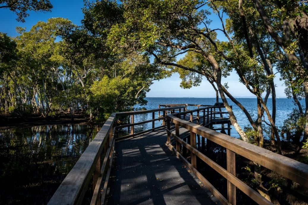 Wynnum Mangrove Boardwalk in Queensland — IBS Skip Bins in Landsborough, QLD