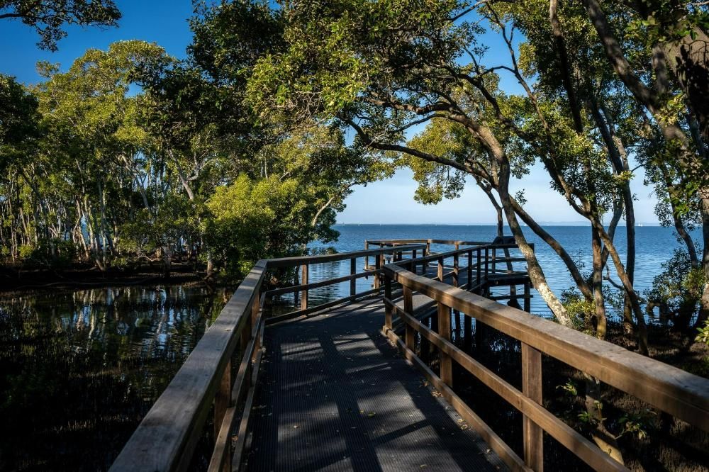 A Wooden Bridge Over a Body of Water Surrounded by Trees — I.B.S Skip Bins in Landsborough, QLD