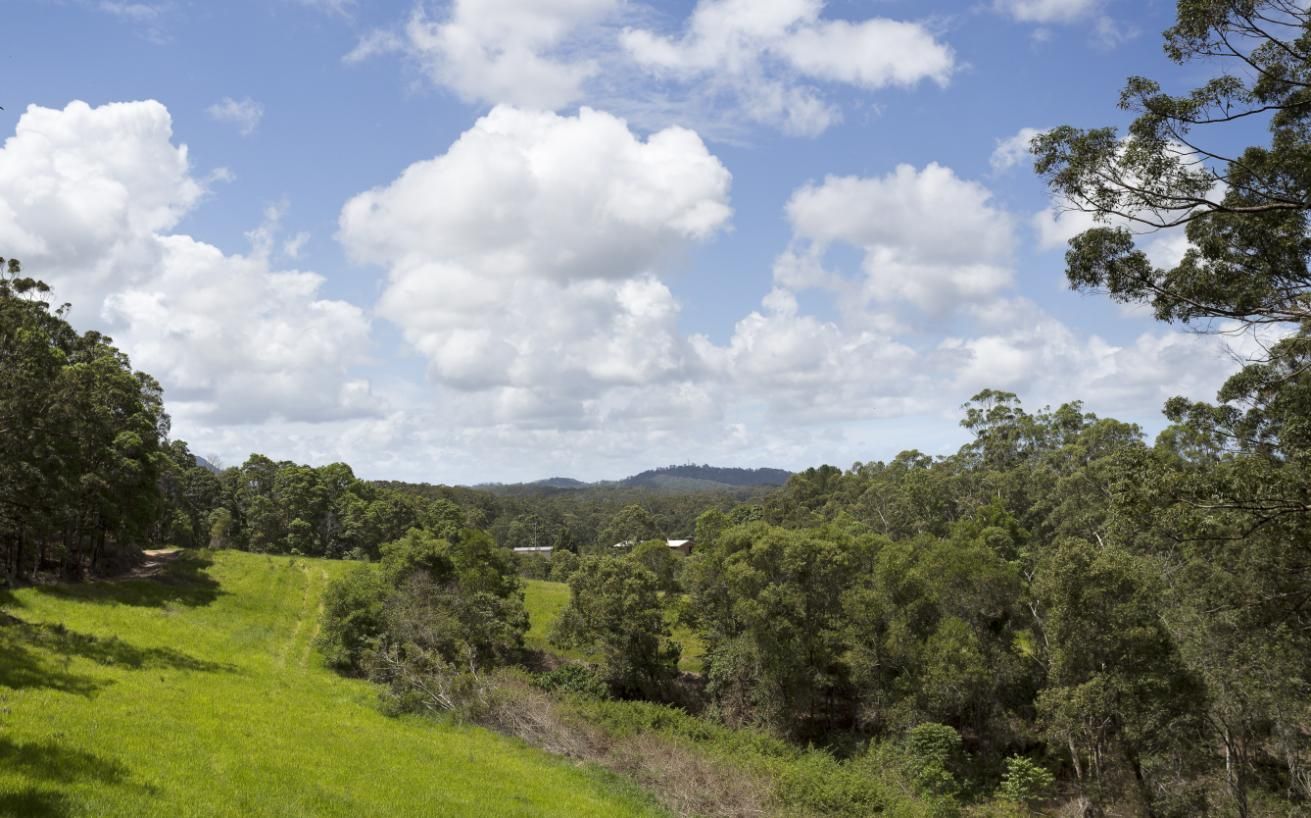 A Lush Green Field With Trees and Clouds in the Sky — I.B.S Skip Bins in Noosa, QLD