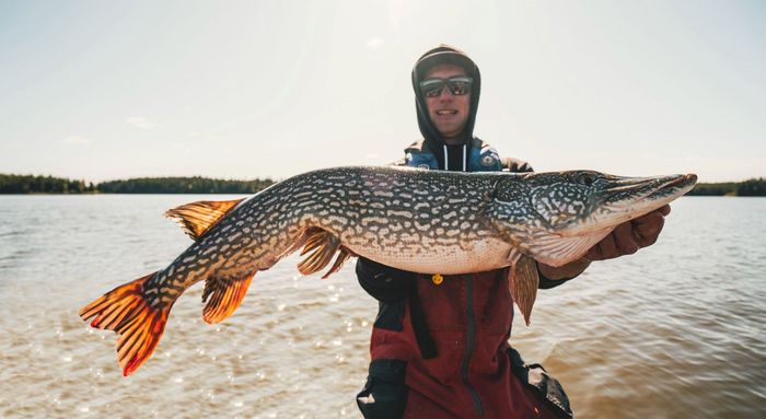 a man is holding a large fish in his hands in front of a lake .