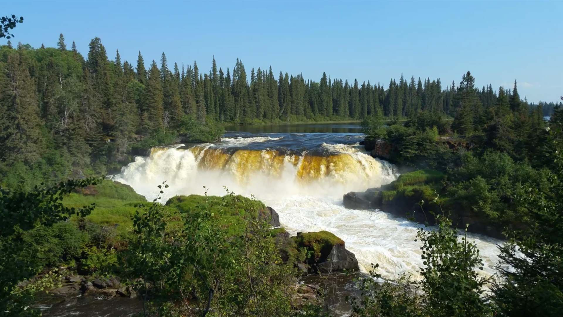 a waterfall in the middle of a forest with trees in the background