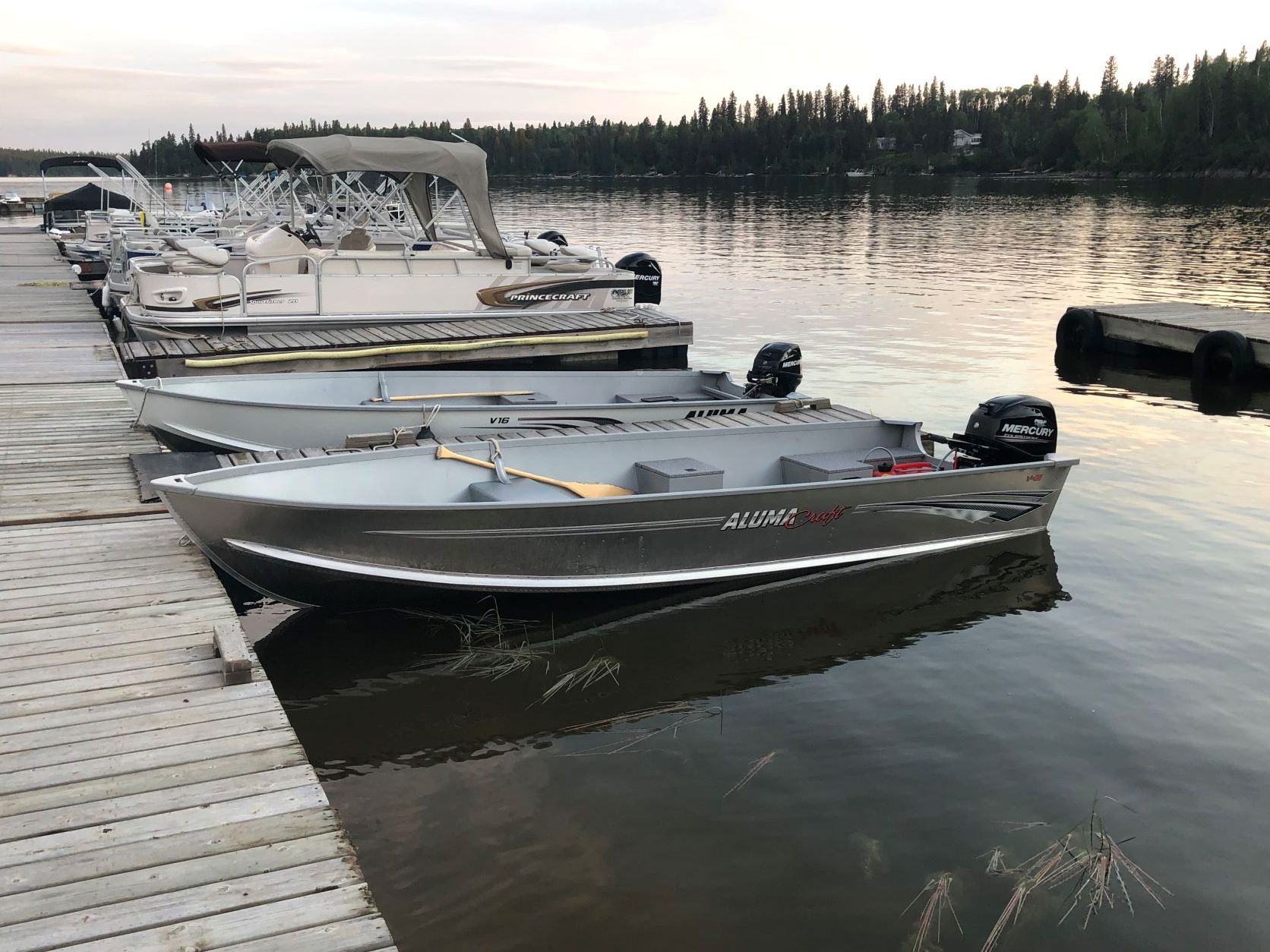 a row of boats are docked at a dock on a lake .