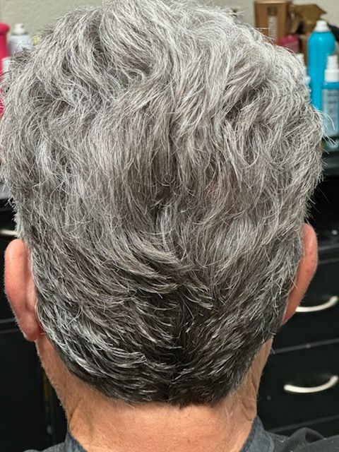 Back of a person’s head with short, wavy gray hair in a salon chair