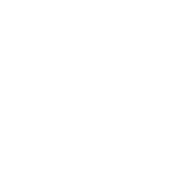 Martin Electric