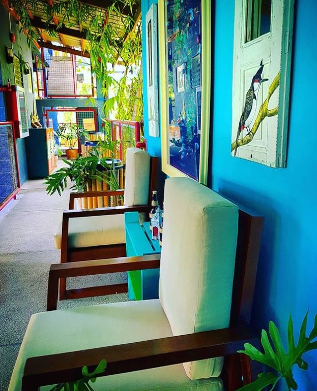 Gallery Flotsam and Jetsam Artists Beach Hostel