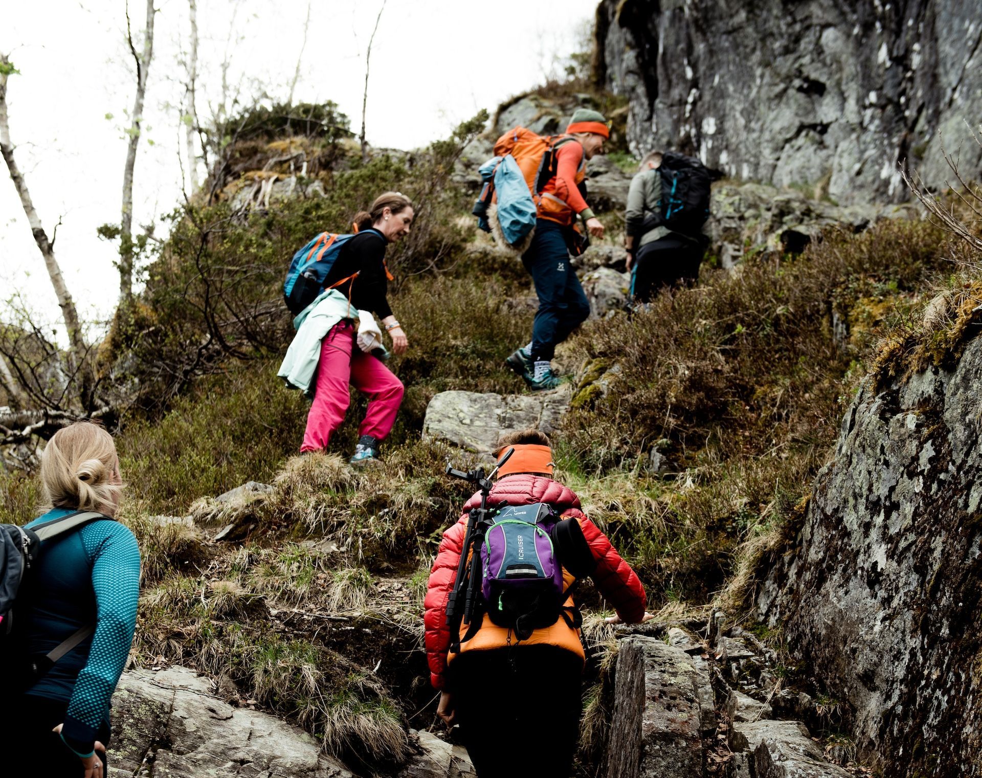 People on a guided a hike in Øystese, Hardangerfjord.
