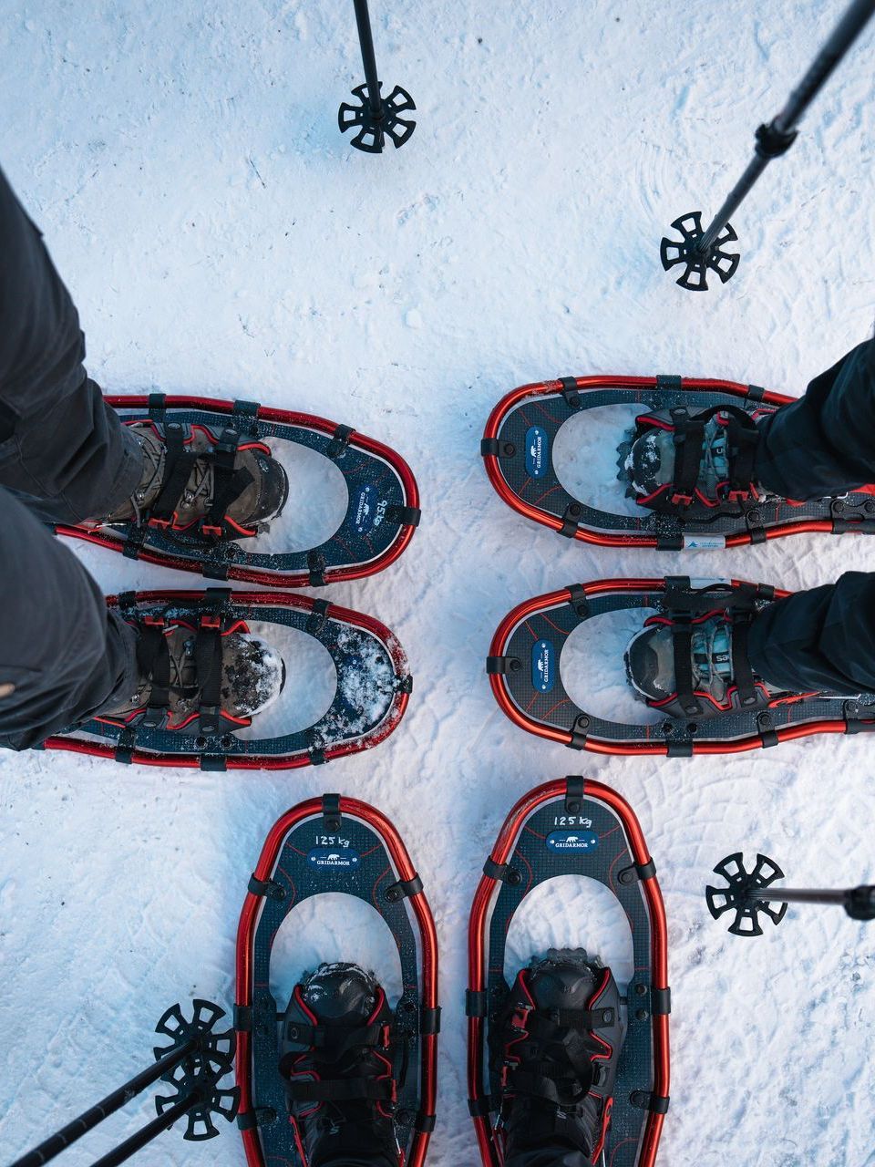 People on snowshoes