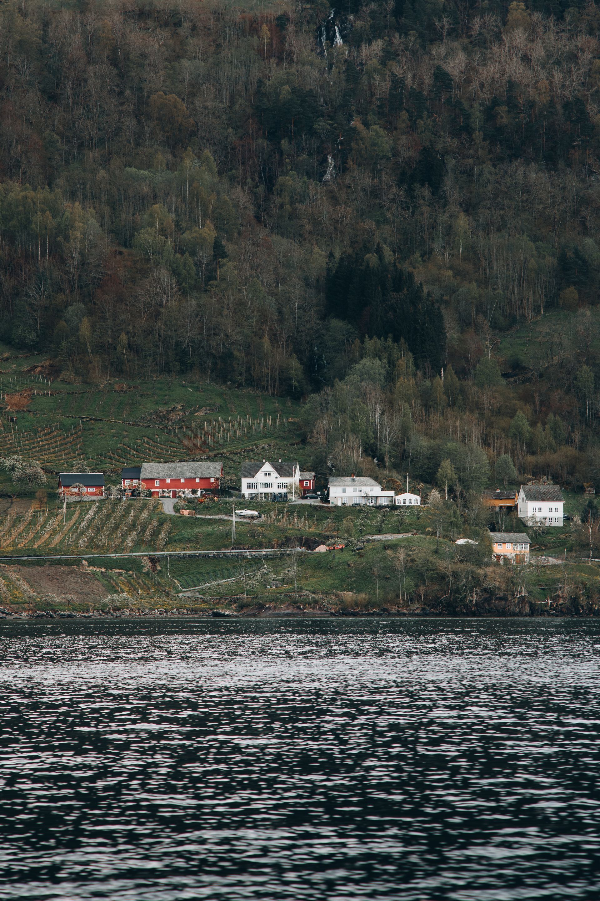 Steinstø fruit farm outside Øystese. Photo: Silje Brandsdal