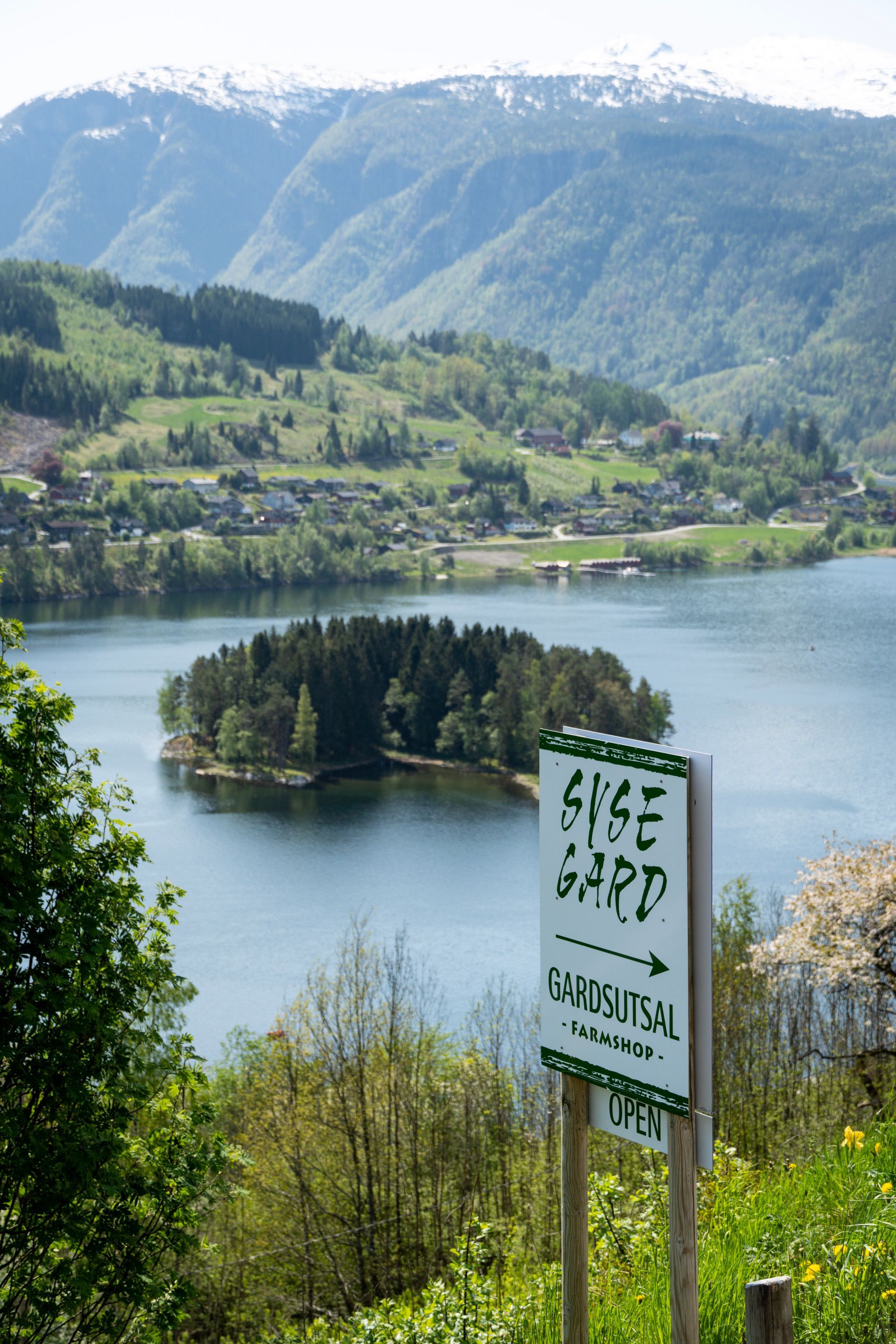 Syse gard, a fruit farm in Ulvik. Photo: Marius Haugsdal
