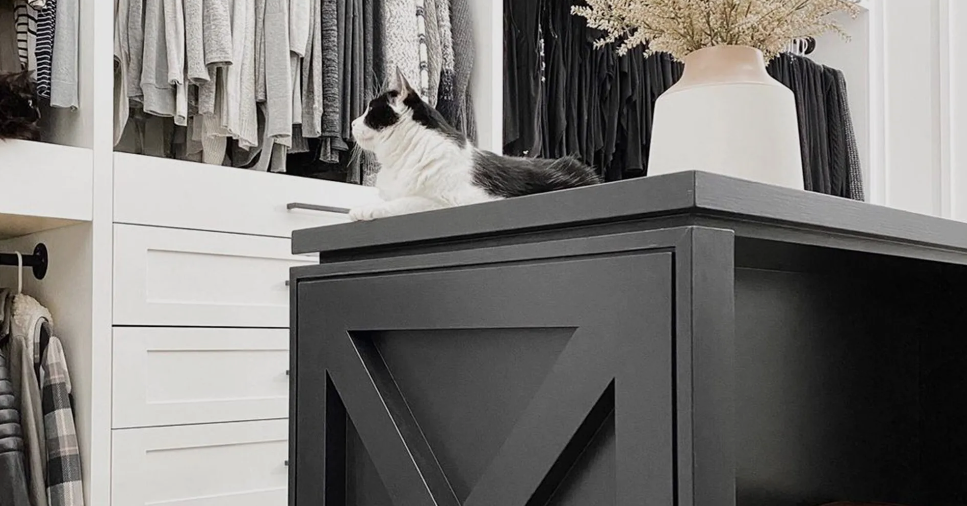 A cat is sitting on top of a black table in a closet.