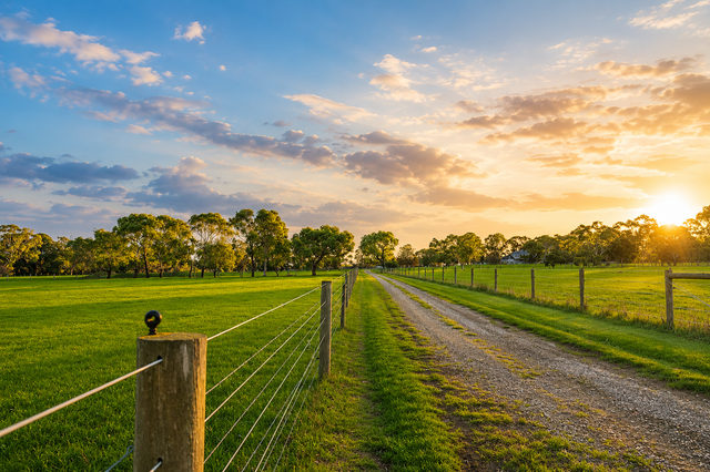 Sunset over a green rural field with a gravel lane and fence lines stretching into the distance