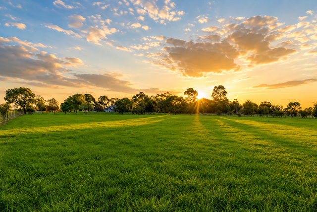 Sunset over a green field with trees and a glowing sky