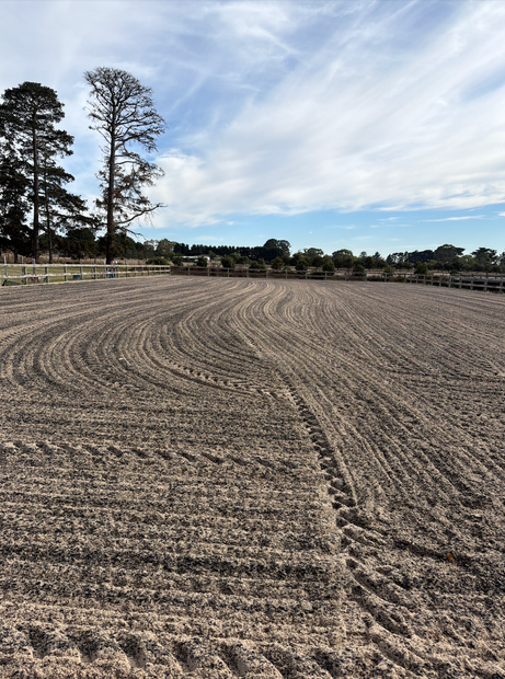 Freshly plowed field under a cloudy sky, with tall trees along the horizon.