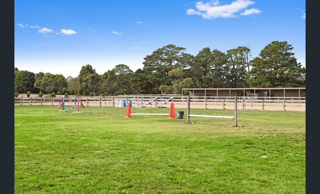 Outdoor horse arena with jumps on a grassy field under a blue sky