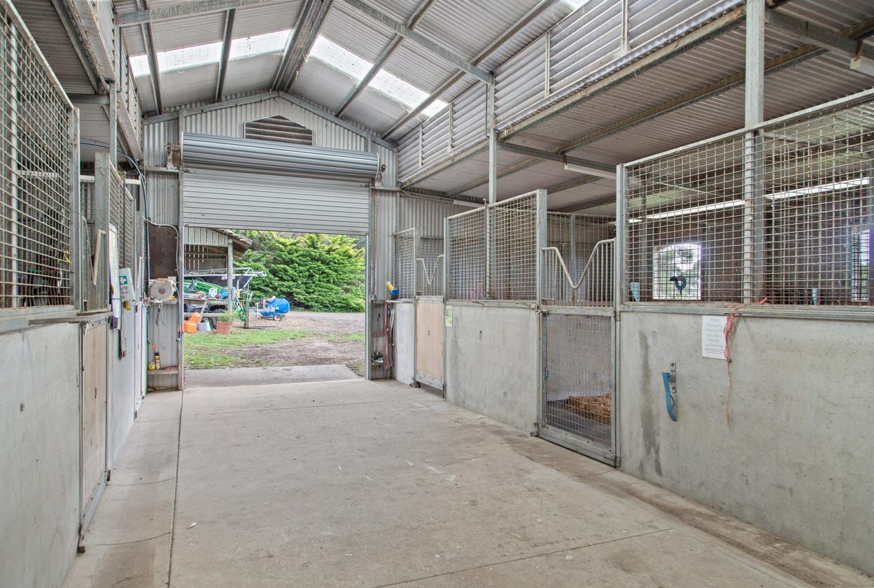 Empty covered animal stalls with a concrete floor and open doorway to greenery.