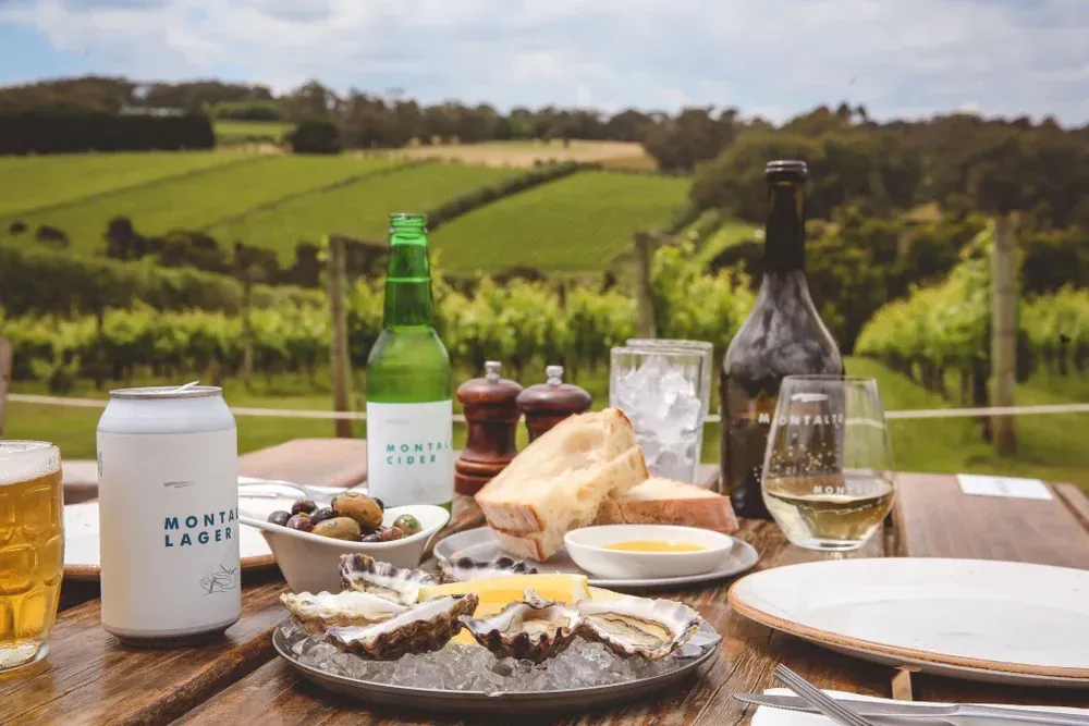 Outdoor table with drinks, bread, and olives overlooking a green vineyard scene
