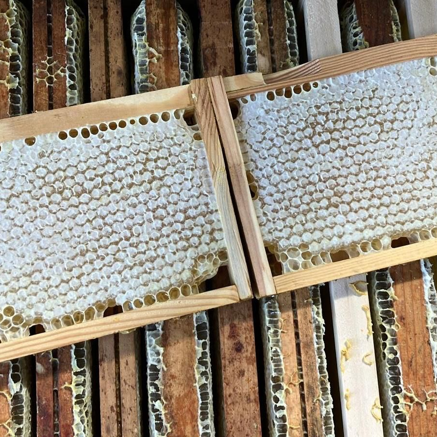 Honingraatstructuren in een houten doos, met daarin verzegelde honingcellen, lichtbruin en wit.