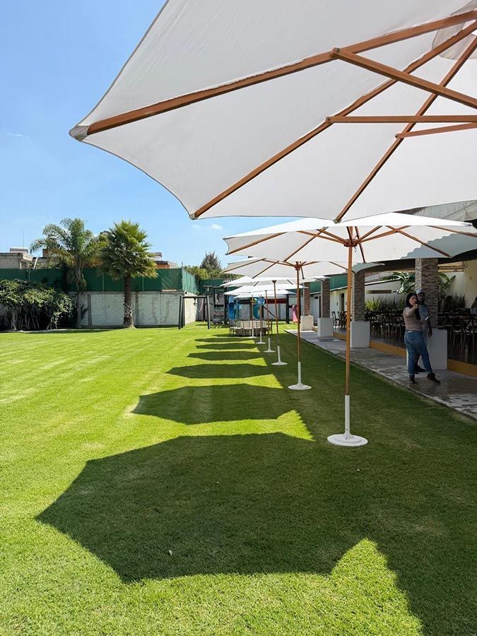 PLAFONES Y ACABADOS DECORATIVOS - Aislamiento térmico