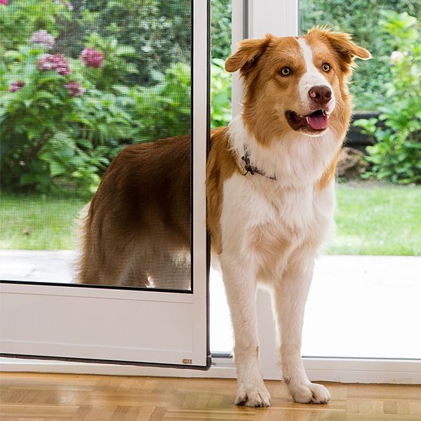 Polyestergewebe Gewebe für ISN Insektenschutzgitter für Türen und Tierklappen bei haushalten mit Hunden und Katzen