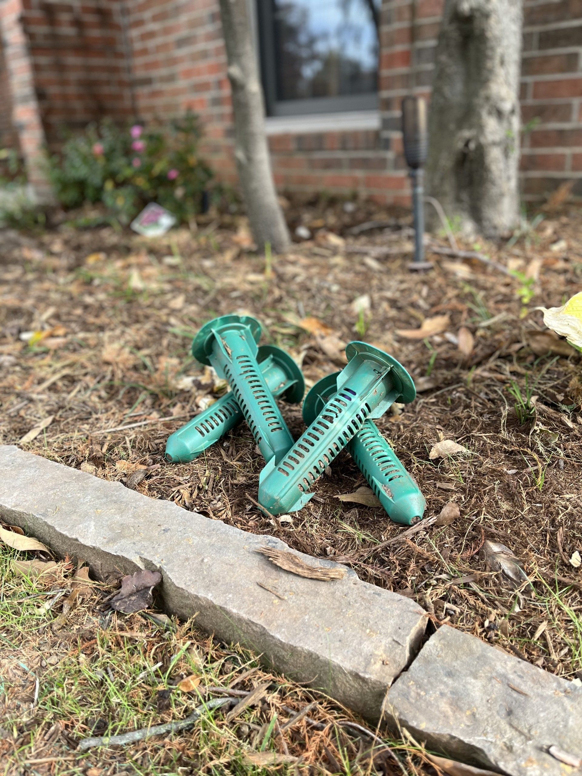 pest control cedar park texas