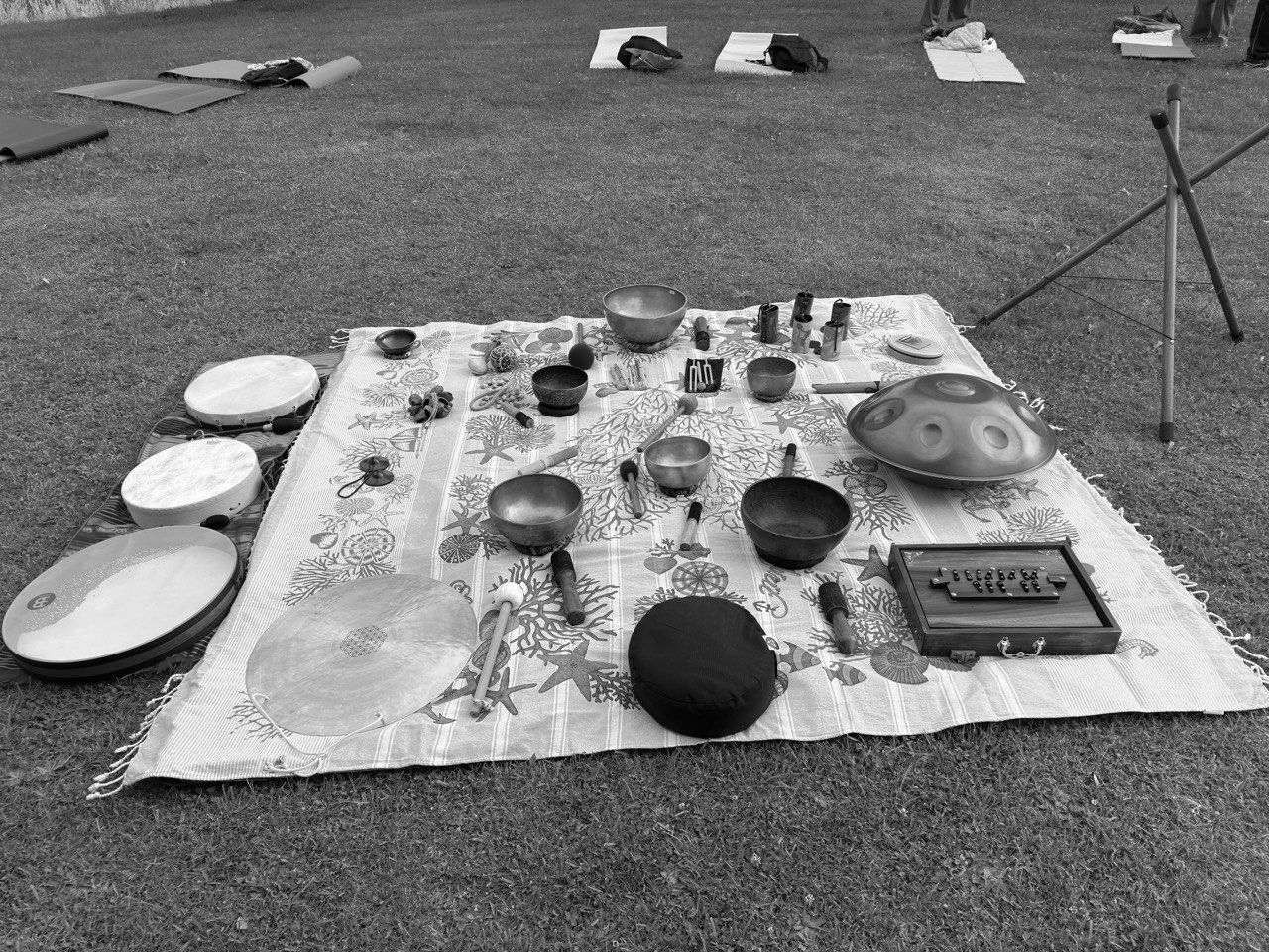 Coperta da picnic all'aperto con piatti, ciotole e vari oggetti disposti sull'erba.
