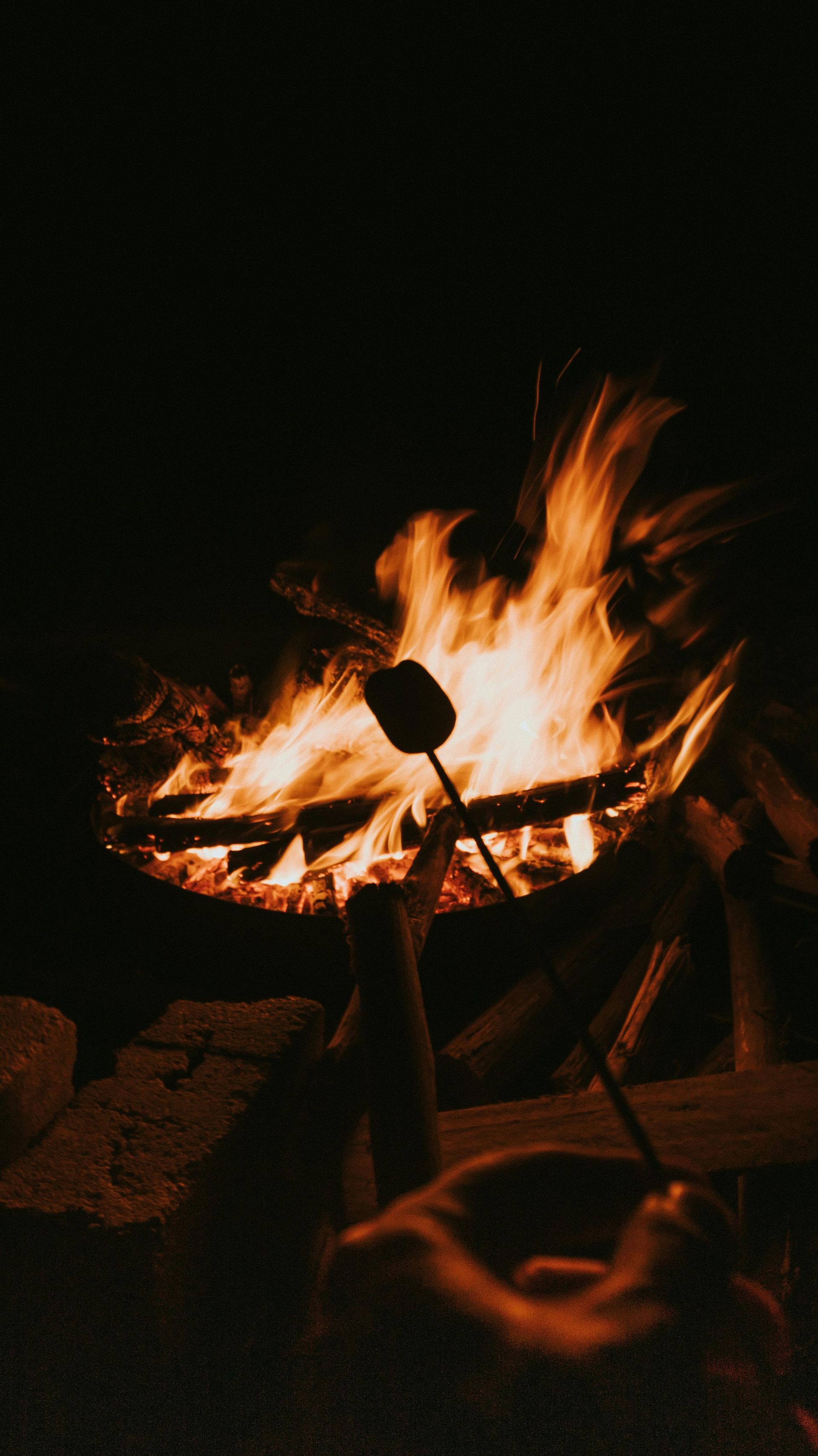 A person is roasting marshmallows over a campfire at night.