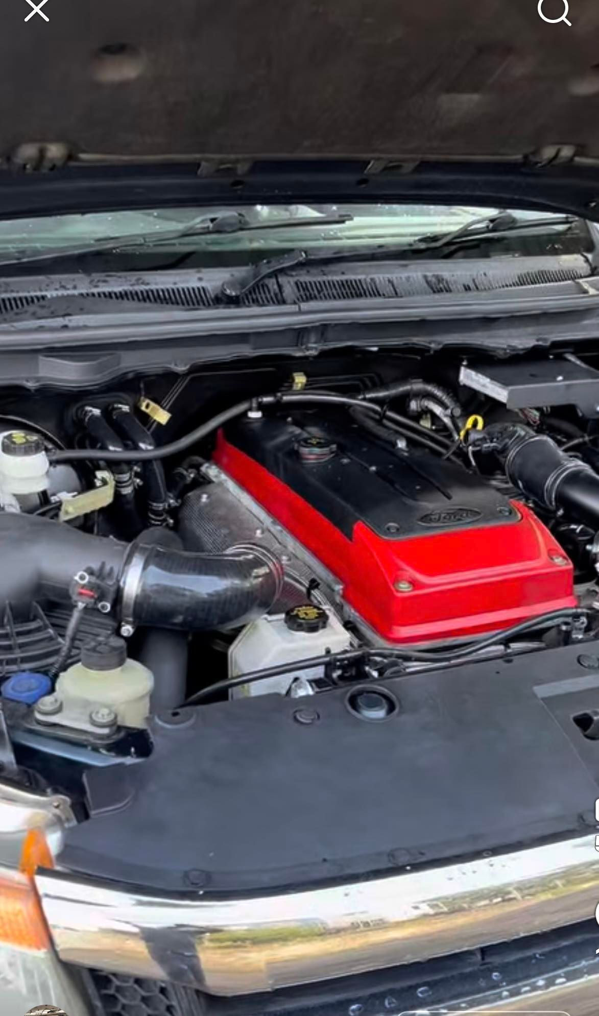 Open Car Hood Showing Engine Bay With a Red Valve Cover and Black Components — Van Diemen's Automotive & Electrical Repairs In Bellerive, TAS