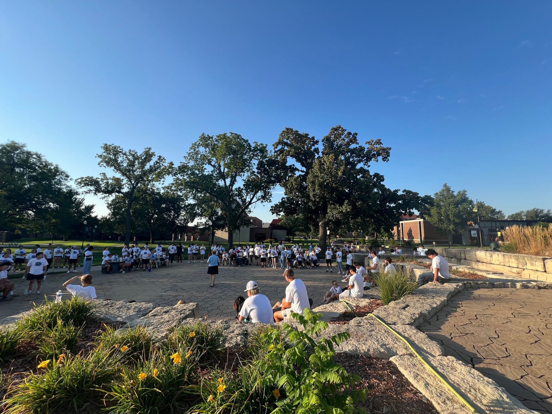Students in the amphitheater