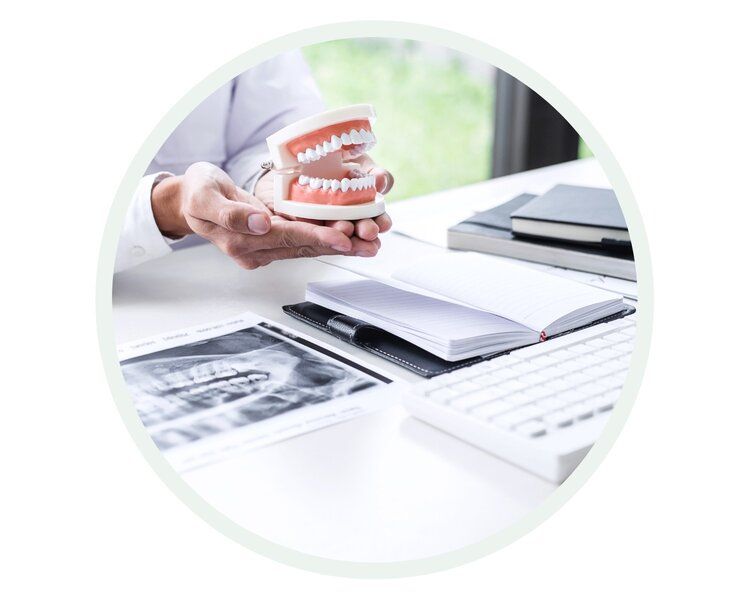 Dentist holding a dental model, with x-rays, notebook, and keyboard on a desk.