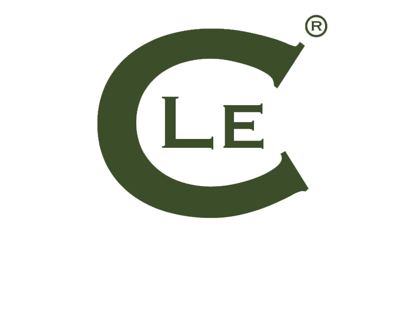 Logo verde scuro con una