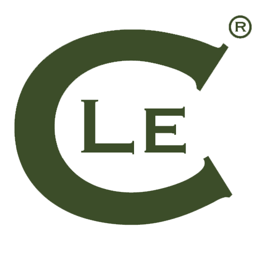 Logo verde: una grande