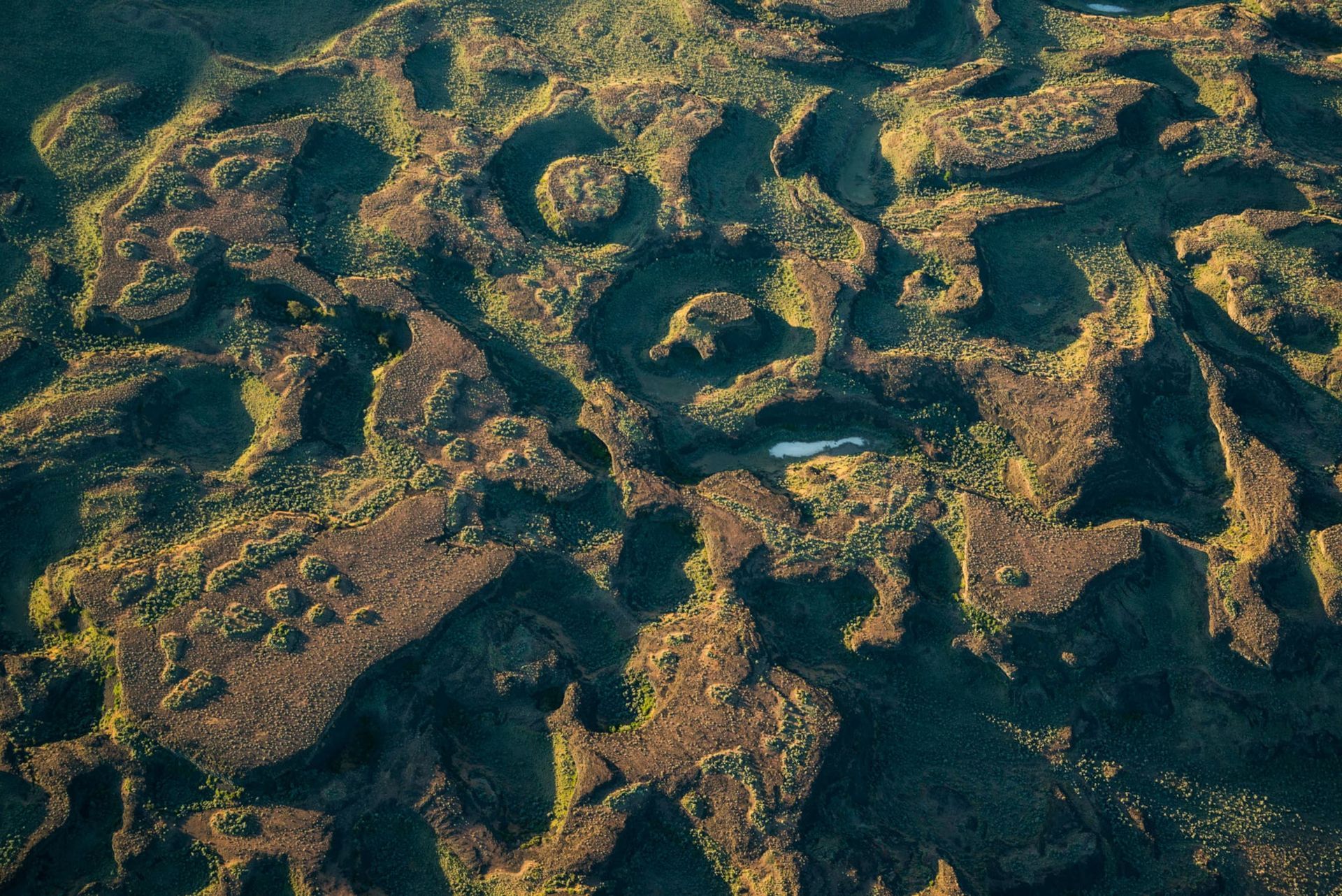 Aerial view of a landscape with winding, dark green and brown landforms, possibly tundra or wetlands.